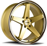 DTM Chase Gold With Stainless Lip