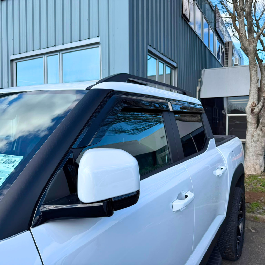 Monsoon/Door Visors Dark Tint BYD Shark 2025