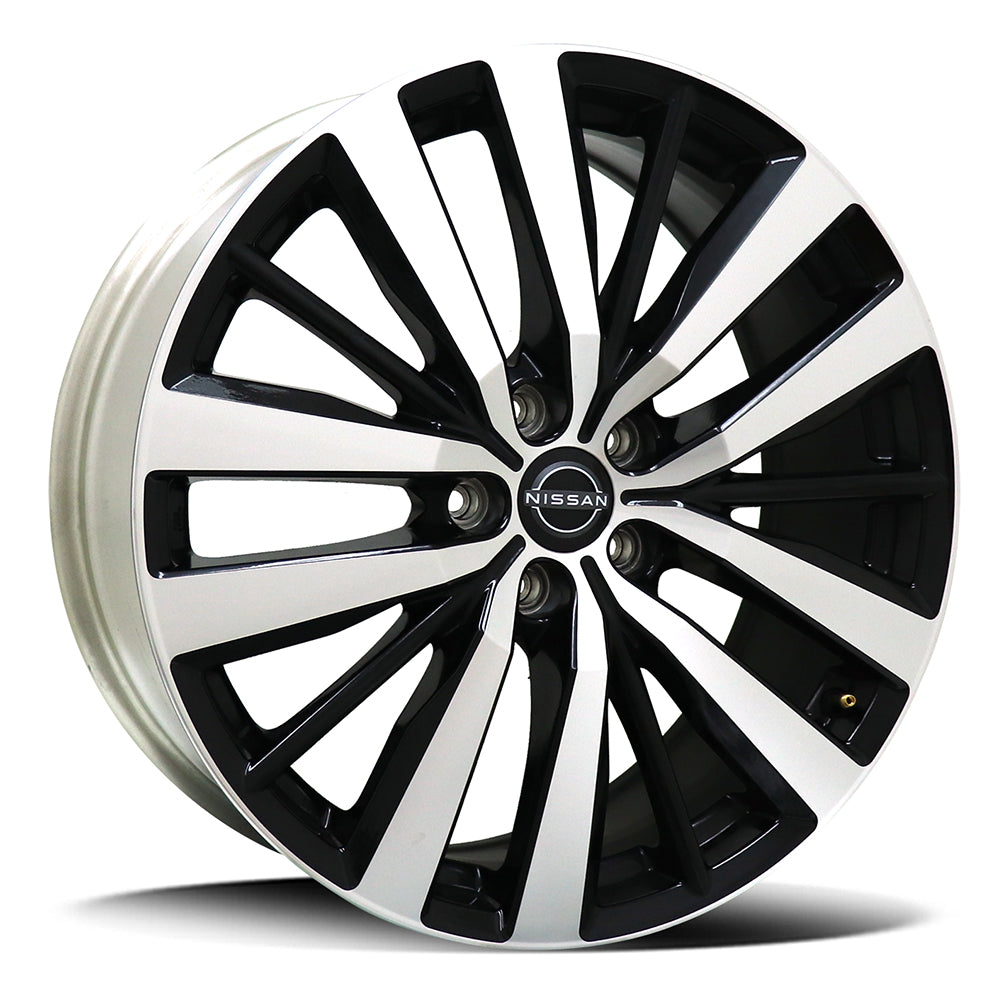 Oem Nissan Pathfinder Gloss Black Polish Face